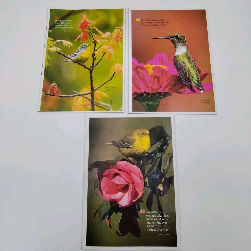 N/A ✅🐦🪻🏵️lot birds
